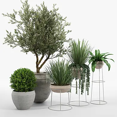 CB2 Set