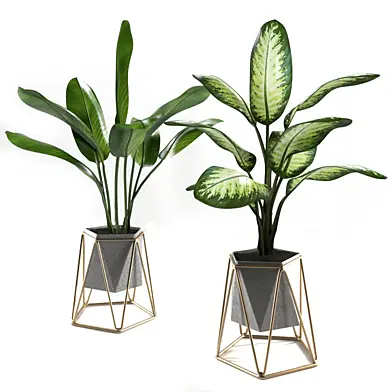 Plants set 3