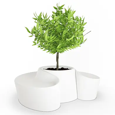 White Pot and Seat Sardana