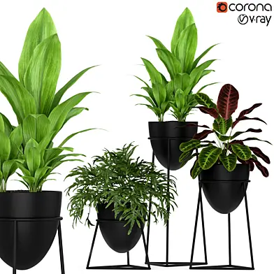 Plants collection 192