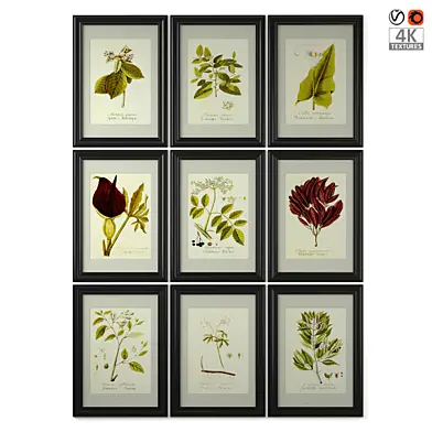 IKEA Skatteby Poster Set 13