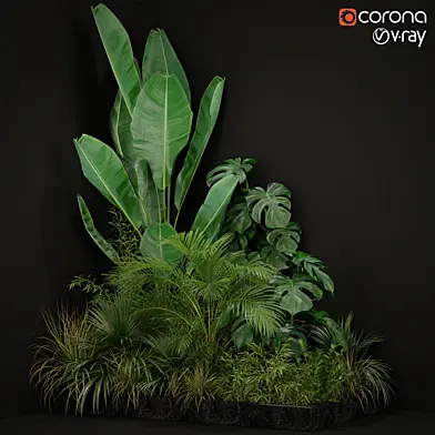 Plants collection 196