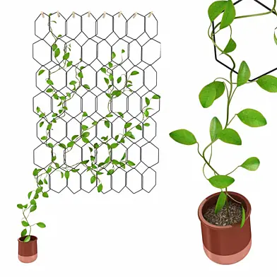 Anno Trellis Modular Set of metal rings Hexagon Compagnie 3D model