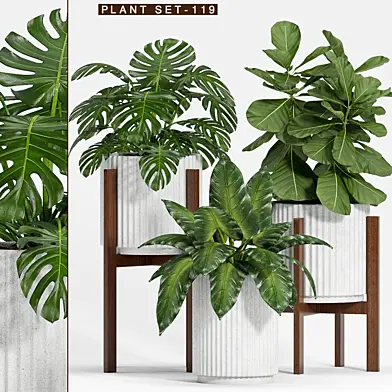 PLANT SET-119