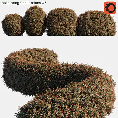 Auto hedge collections #7
