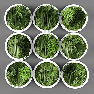 Vertical garden 030