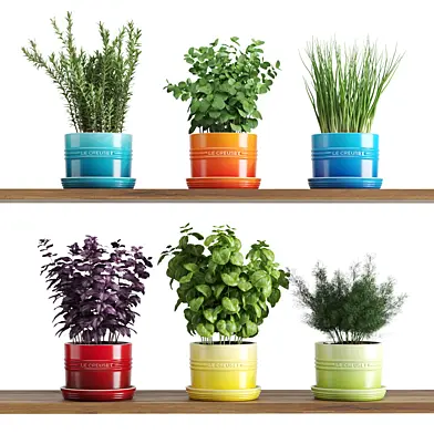 Кухонные растения в горшках Le Creuset