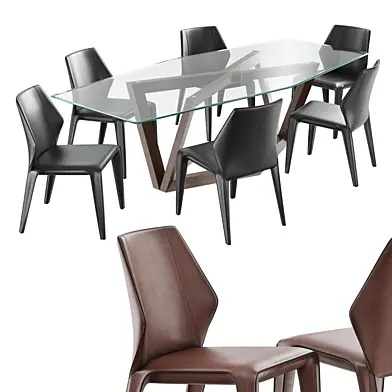 Dining set natuzzi frida chair C014 hex table E015