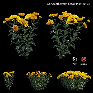 Chrysanthemum flower Plant set 03