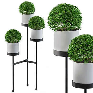 White round plant box with Round Plants