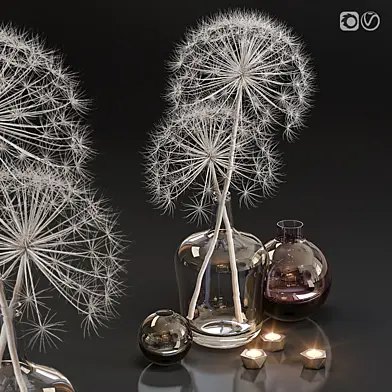 Decor set 13 Heracleum plant white