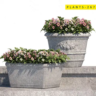 plants 267