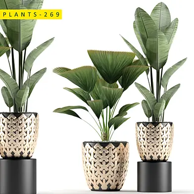plants 269