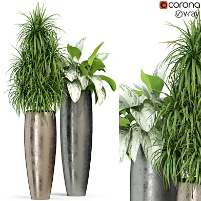 Plants collection 282 Fleurami ROYAL