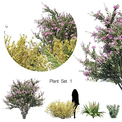 Plant Set 1