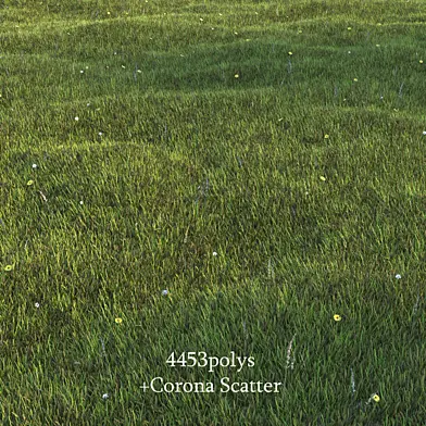 Lawn_Grass
