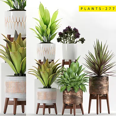 plants 277