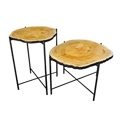 Teak Stump Side Tables
