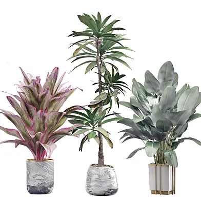 INTERIOR FLOWER PACK 36