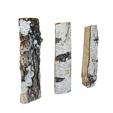 Burned woods