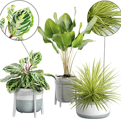 INTERIOR FLOWER PACK 60