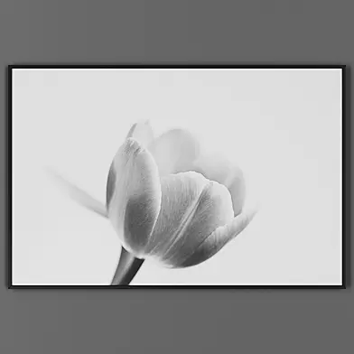 Picture frame 00042-5