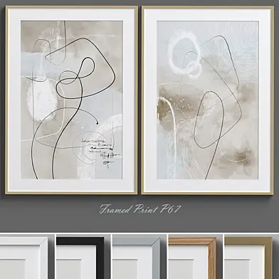 Framed Print P-67