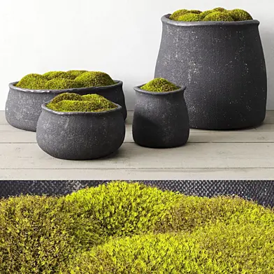 Crosshatch concrete vessel collection with moss