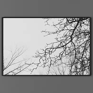 Picture frame 00042-15