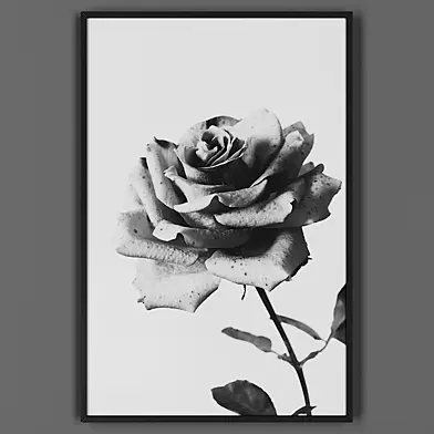 Picture frame 00042-62