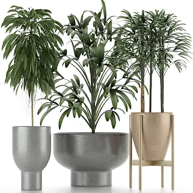 Plants Collection 11