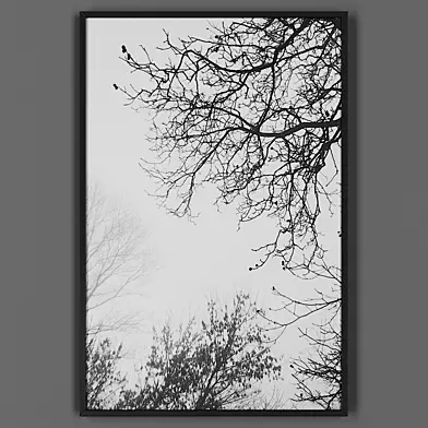 Picture frame 00042-80