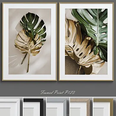 Framed Print P-123