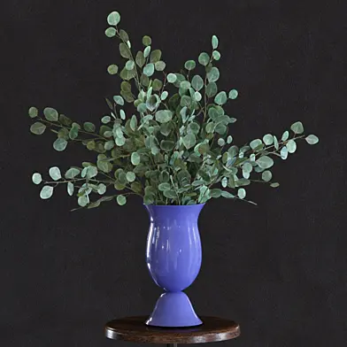 Eucalyptus Set2