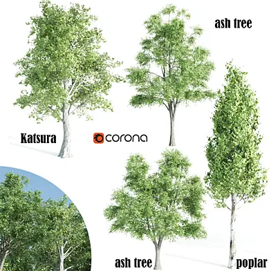 4 tree set corona