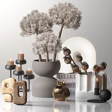 Decor_set_03 with Fluffy Dried Flower