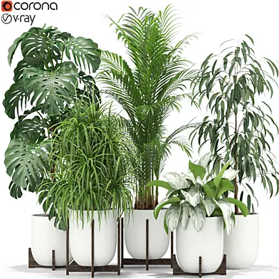 Plants collection 354
