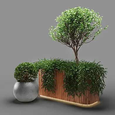 plant204v2