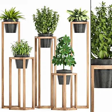 plant set 128
