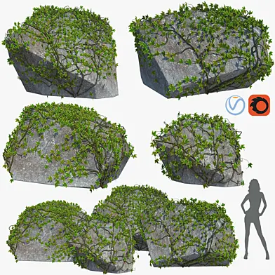 Stone with ivy v1