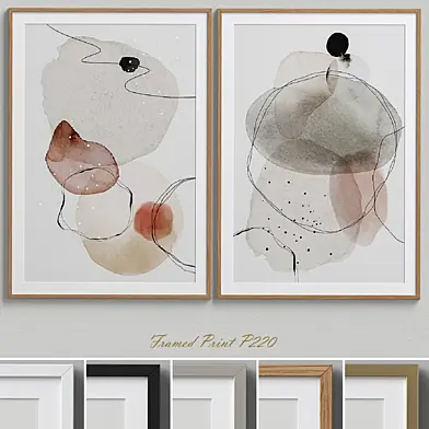 Framed Print P-220