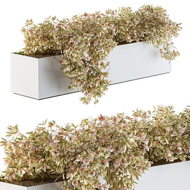 hanging plant in box - Outdoor Set 83