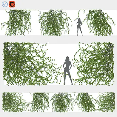 Ivy Wall 05
