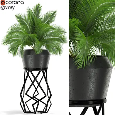 Plants collection 412