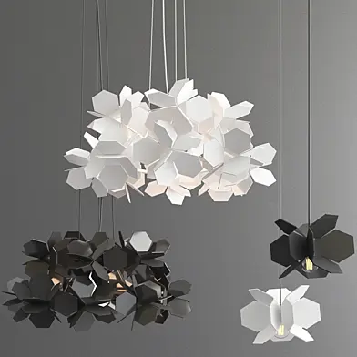 Hydrangea Collection
