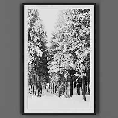 Picture frame 00043-72