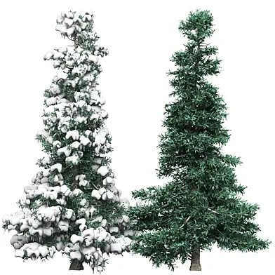 Ель 2