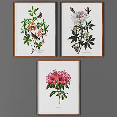 Picture frame set 00040-64