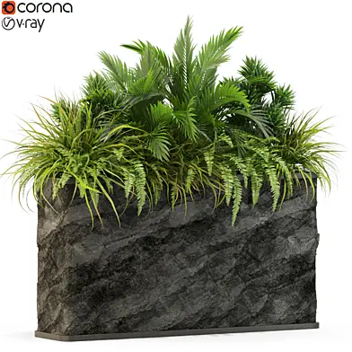 Plants collection 431