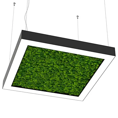 Bone light квадрат со мхом OM